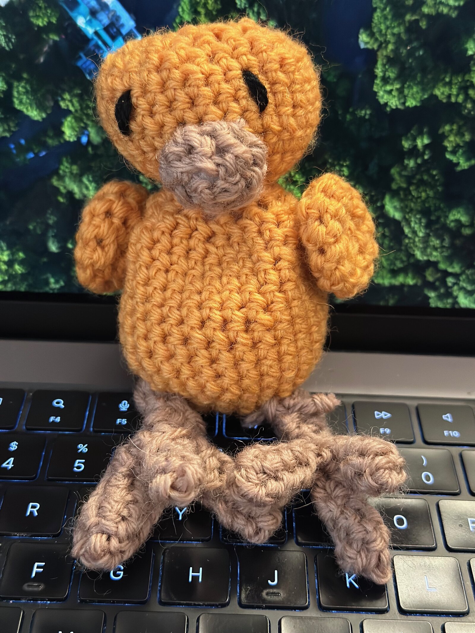 IMG_0942.jpeg <# alt text #>