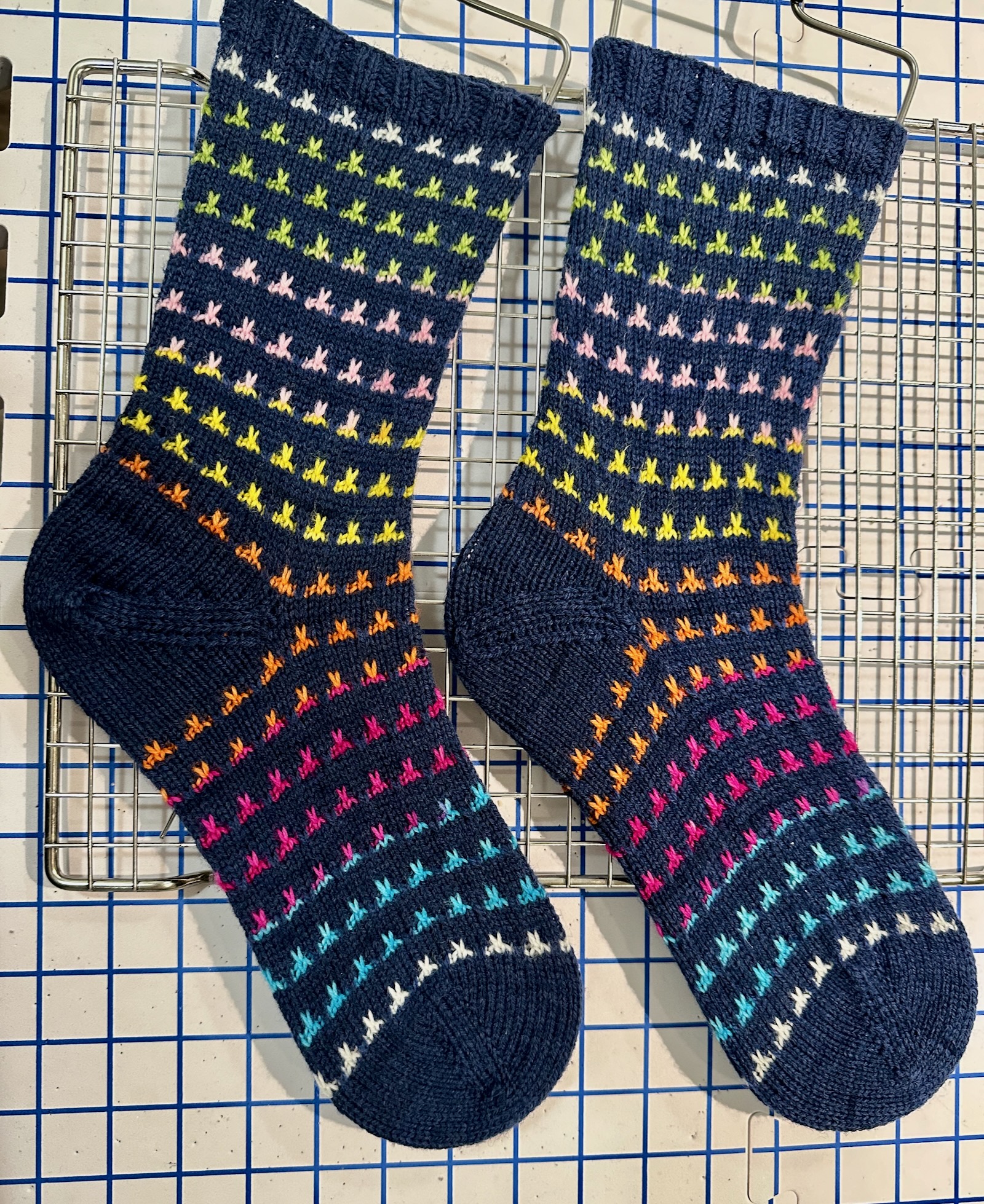 IMG_0069.jpeg <# alt text #>